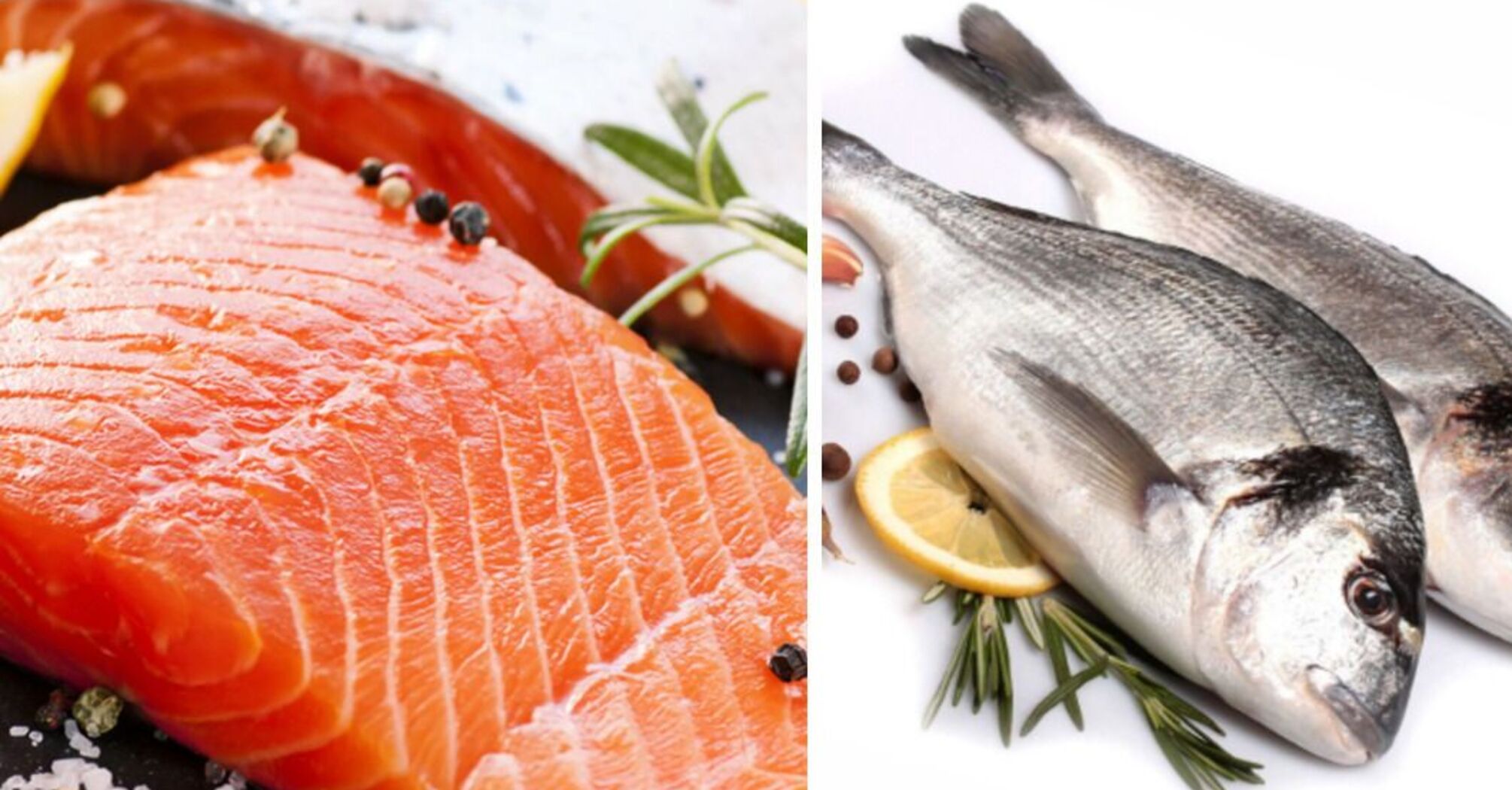 Which fish is the healthiest: rules for choosing and cooking