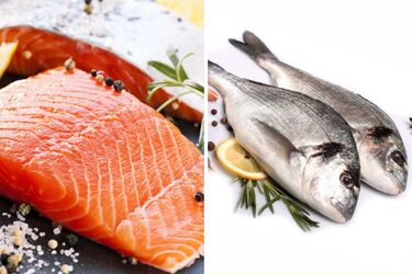 Which fish is the healthiest: rules for choosing and cooking