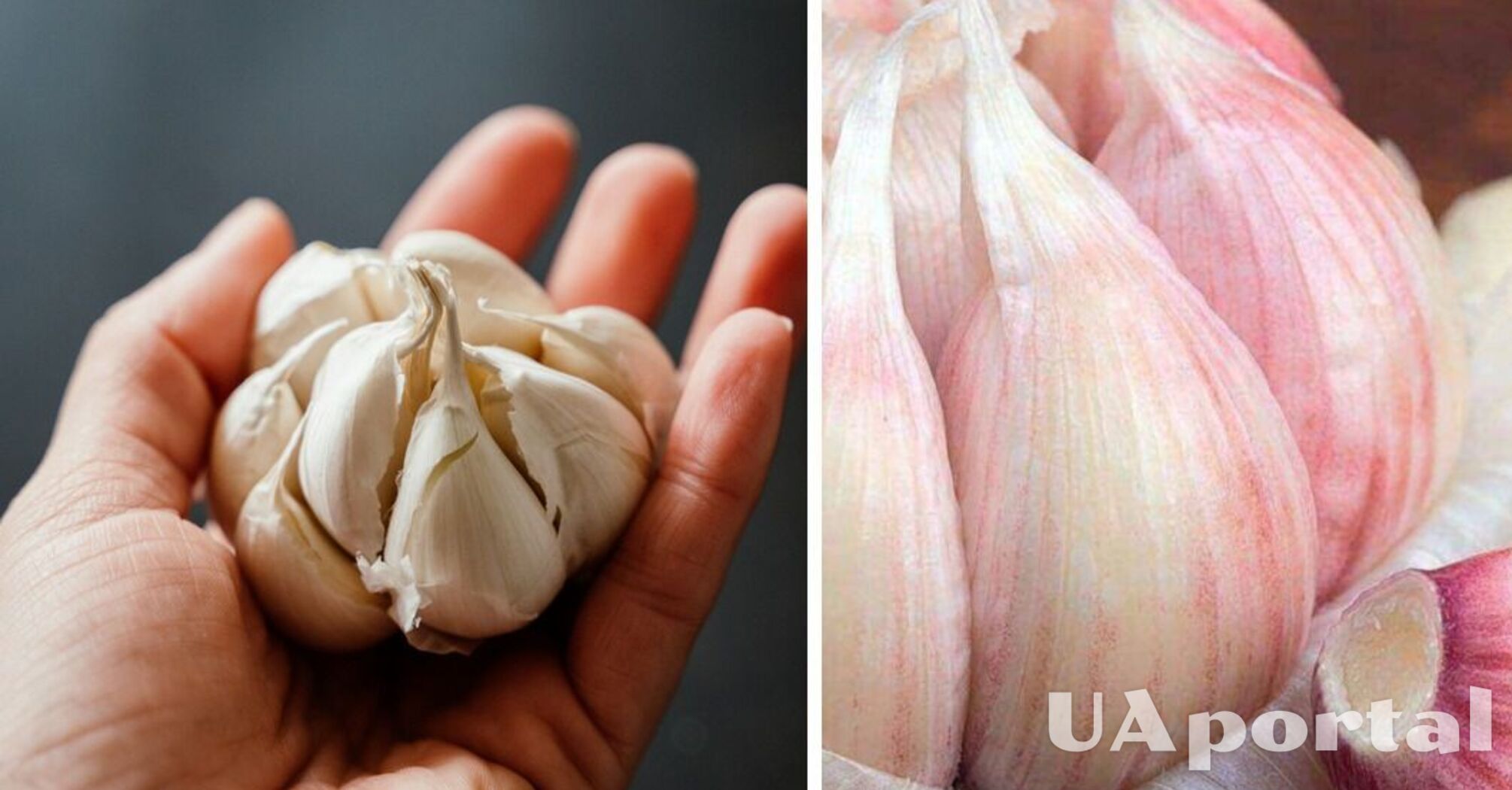 How to peel garlic in a minute without a knife: an impressive life hack