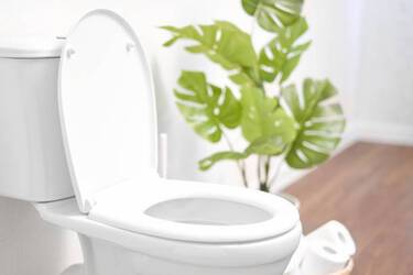 How to get rid of a yellow streak on the toilet: 5 useful tips