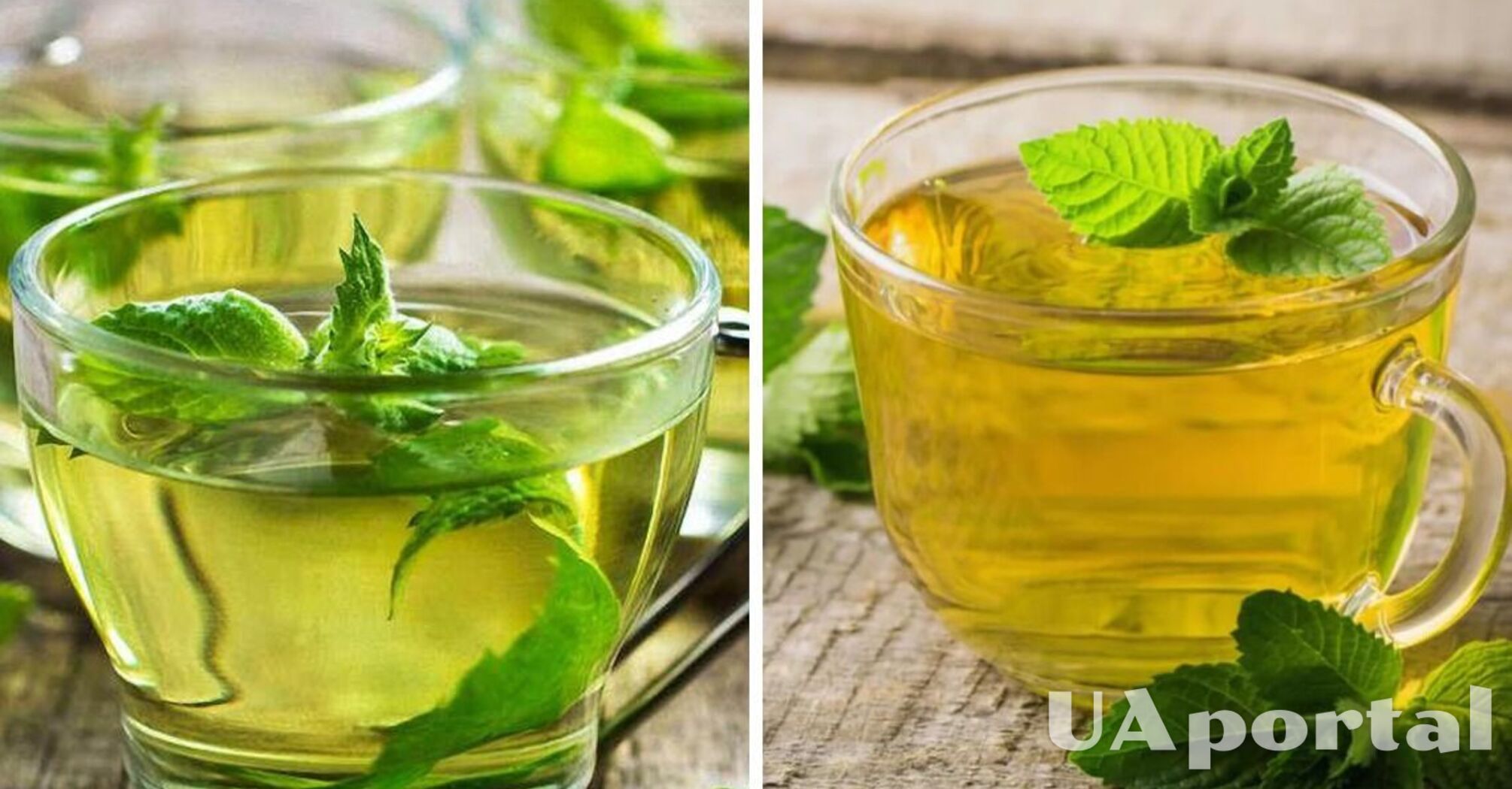 Чим корисний м'ятний чай для здоров'я та імунітету