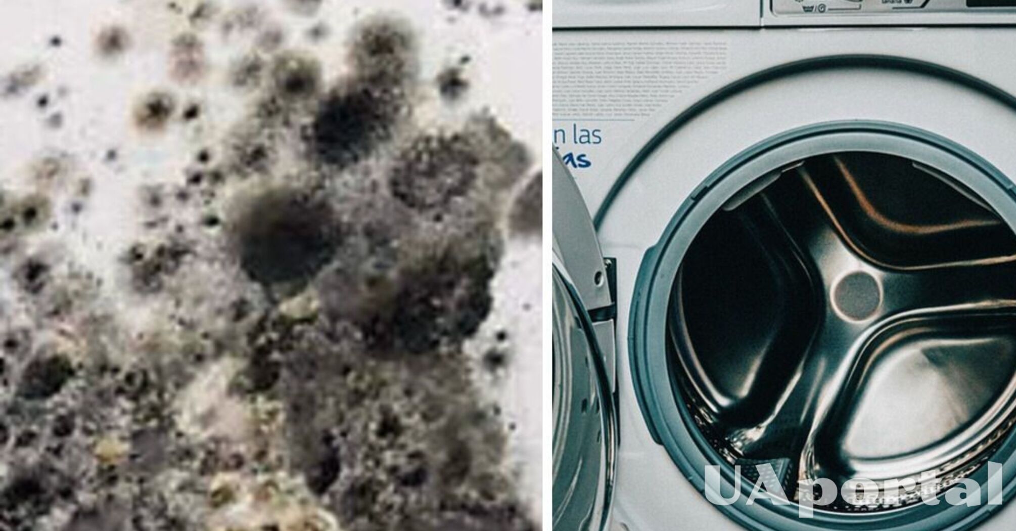 Фахівці розповіли, як легко видалити цвіль та вапняний наліт з пральної машини