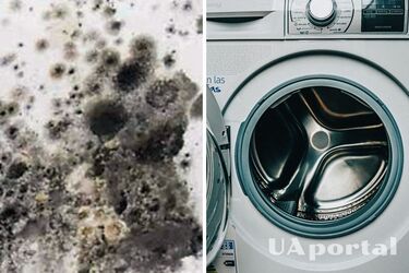 Experts tell how to easily remove mold and limescale from a washing machine