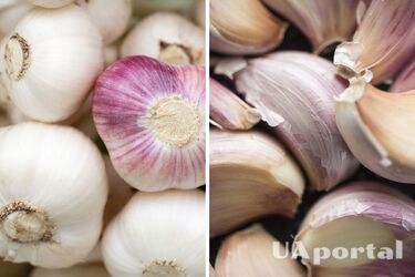 Chef explains how to keep garlic fresh for a long time: It will not sprout