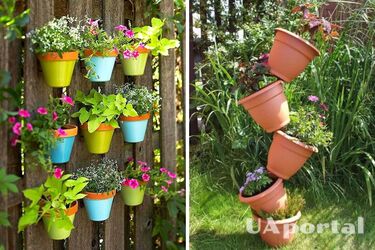 Как сделать вертикальные клумбы с комнатными растениями