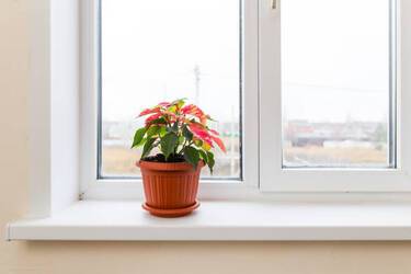 How to restore color to a white window sill: 3 effective life hacks