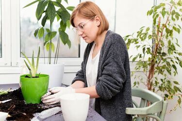 How to get rid of mold in flowerpots: Three easy ways