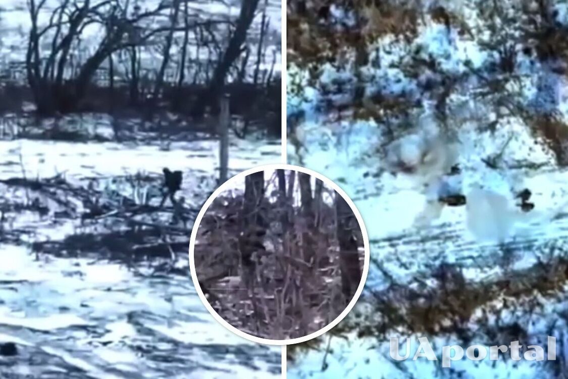 Бойцы 14 ОМБр на Купянском направлении уничтожили российского снайпера (видео)