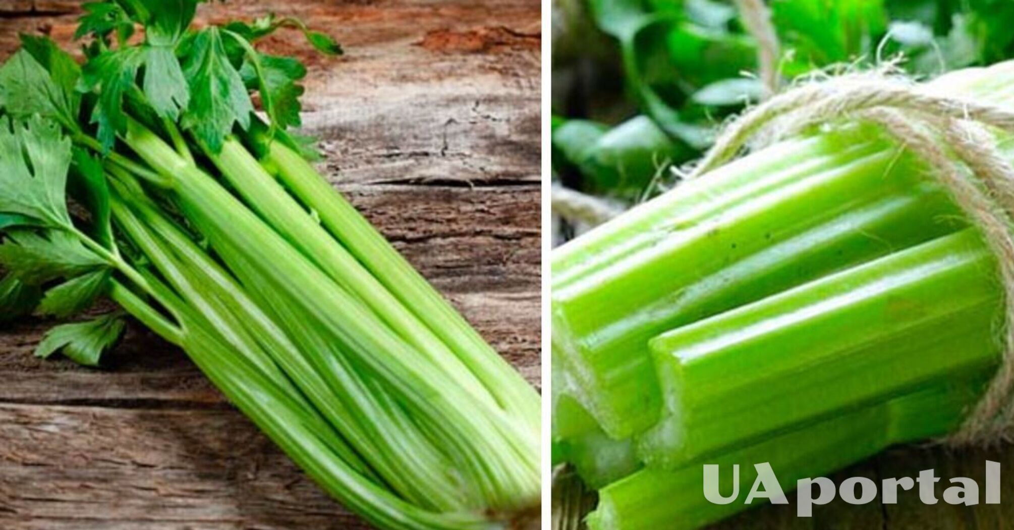 Strengthens the immunity and calms the nervous system: what vegetable should be eaten every day