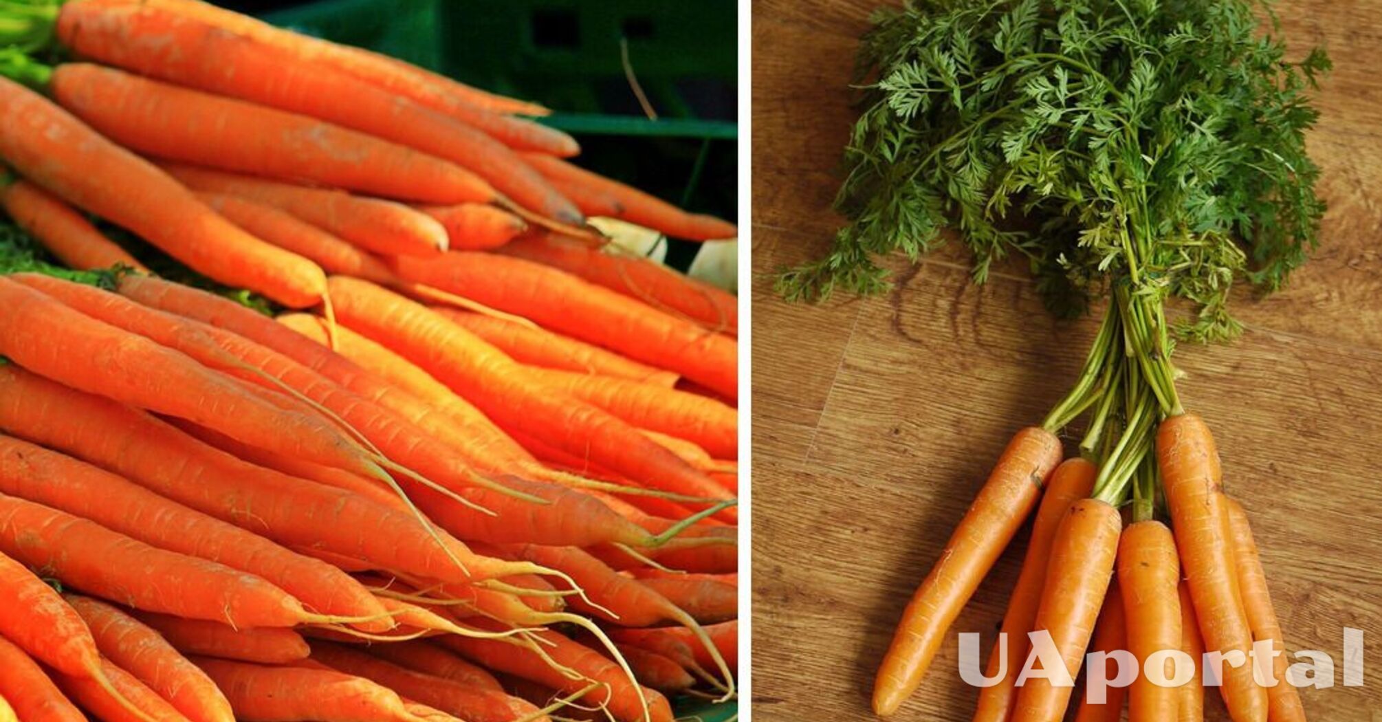 Experts explain why carrots should never be stored in the vegetable drawer of the refrigerator