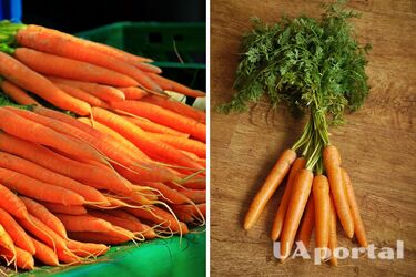 Експерти пояснили, чому моркву ніколи не можна зберігати у ящику для овочів у холодильнику