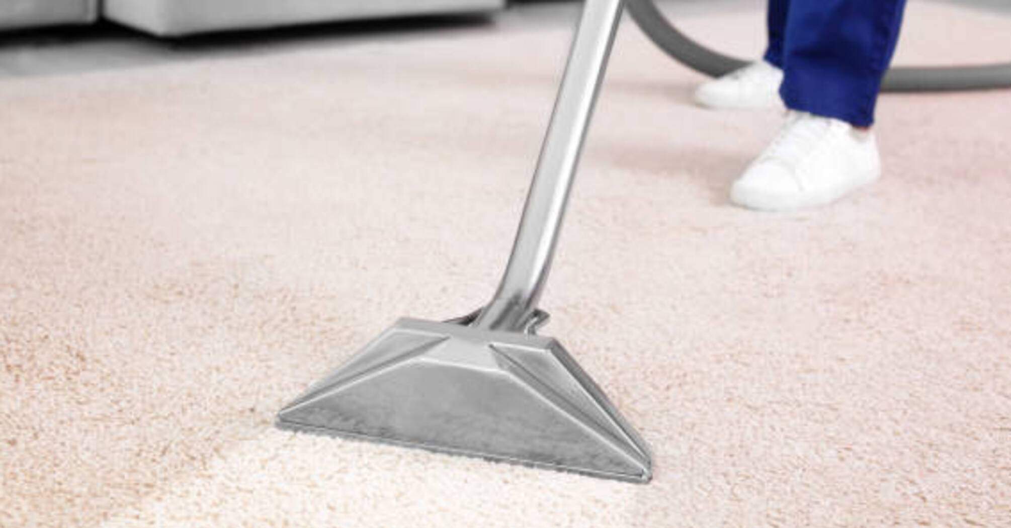 How to clean the carpet from wool: 3 useful life hacks