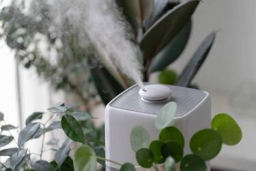 How to humidify the air in your home: 5 useful tips