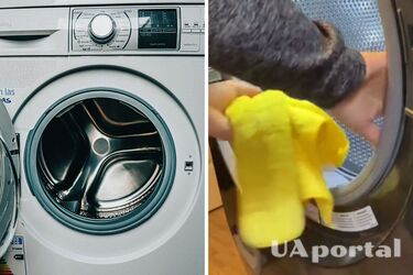 Experts show an easy way to get rid of mold in a washing machine without aggressive chemicals