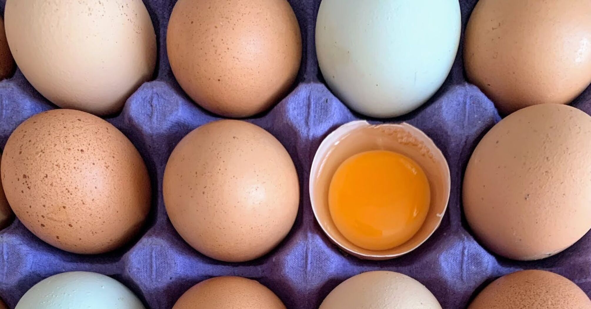 Simple ways to check the freshness of eggs at home