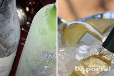 What to do if wine is frozen in the freezer: winemaker's tips