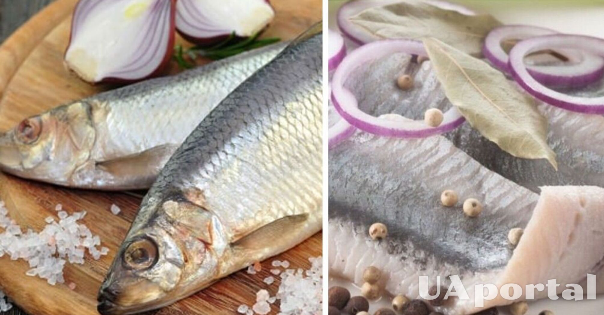 Healthy inexpensive fish that contains all the necessary trace elements