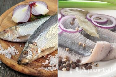 Healthy inexpensive fish that contains all the necessary trace elements