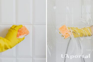 How to remove mold in tile joints without chemicals: three best solutions