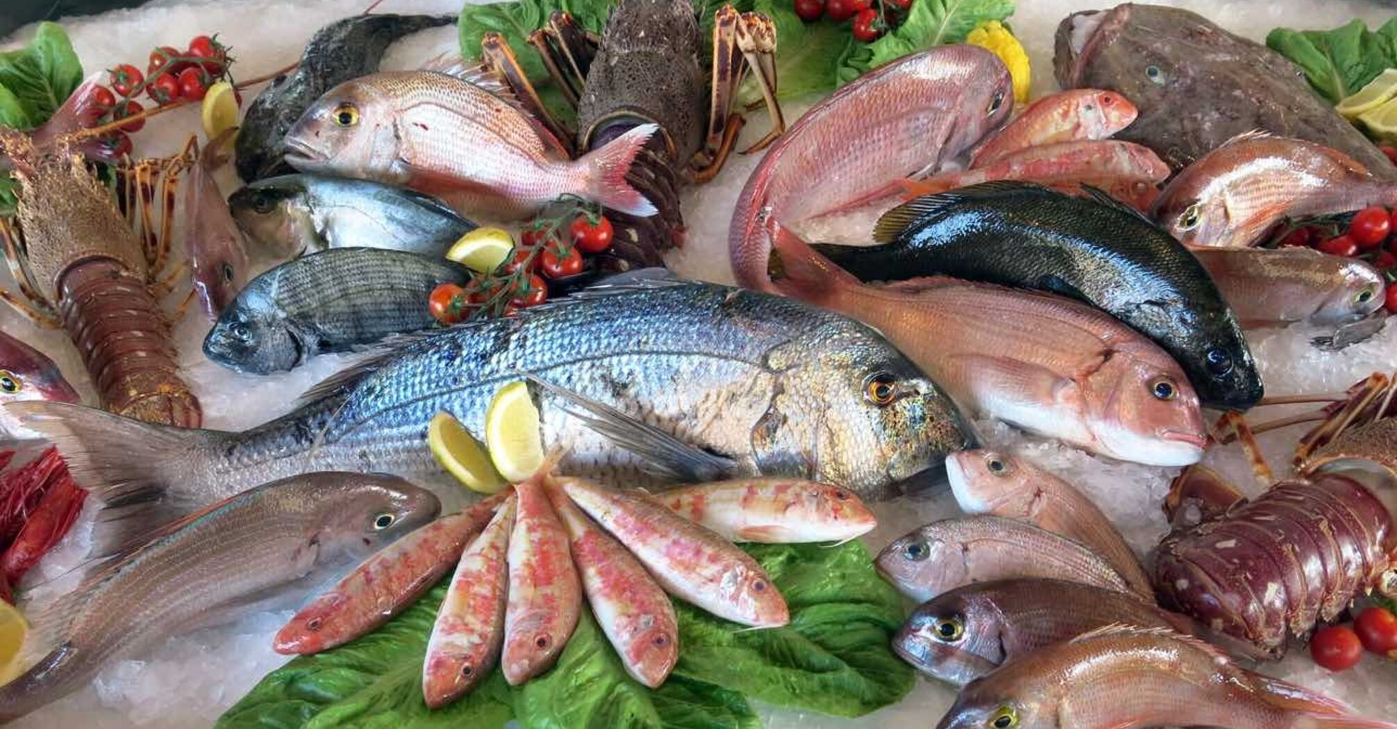 What types of fish are the healthiest