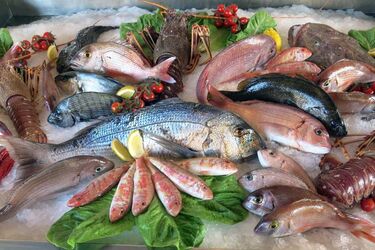 What types of fish are the healthiest