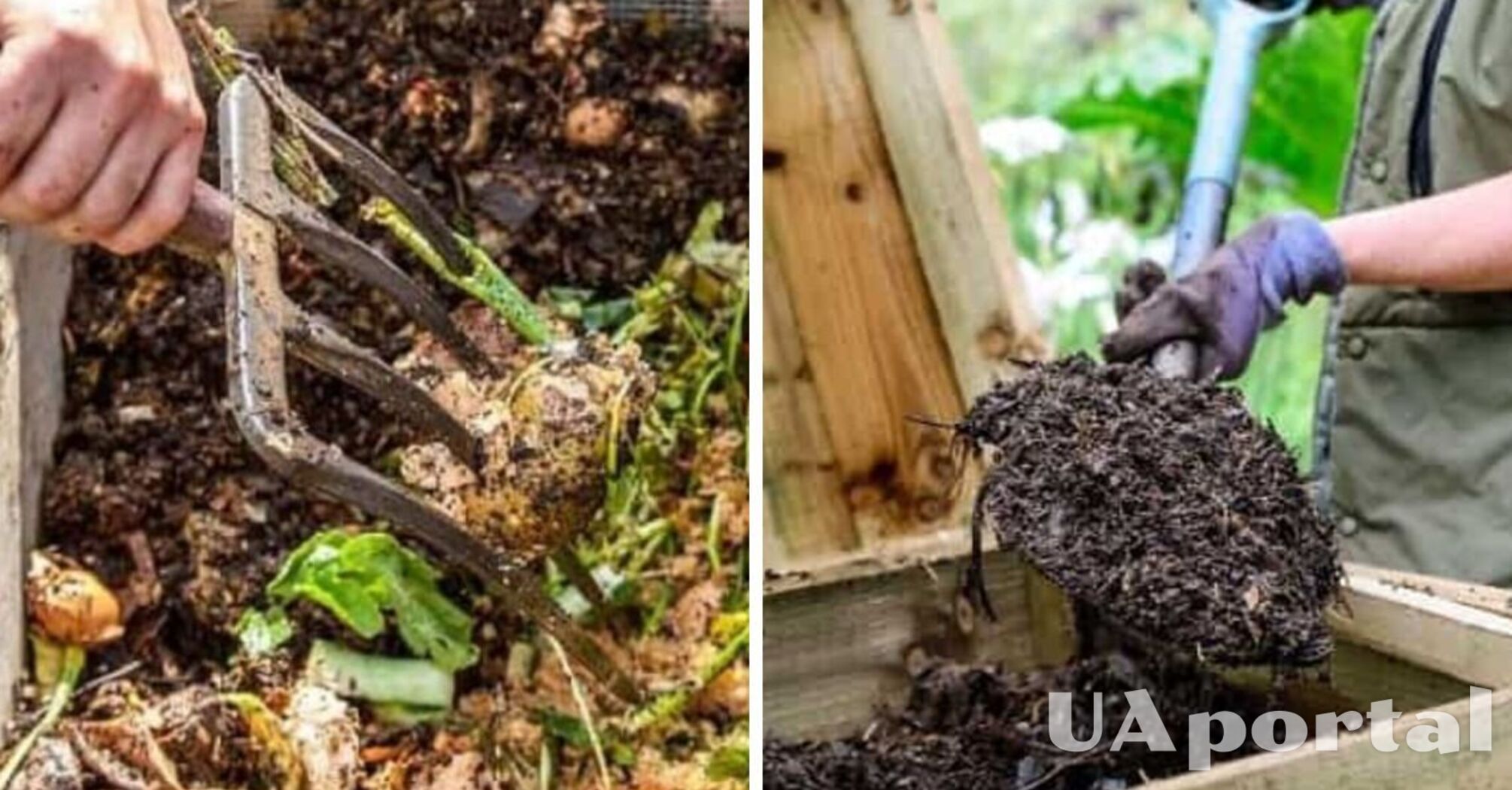 Як прискорити дозрівання компосту