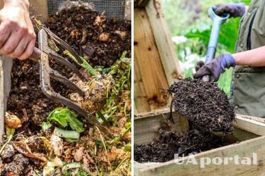 Як прискорити дозрівання компосту
