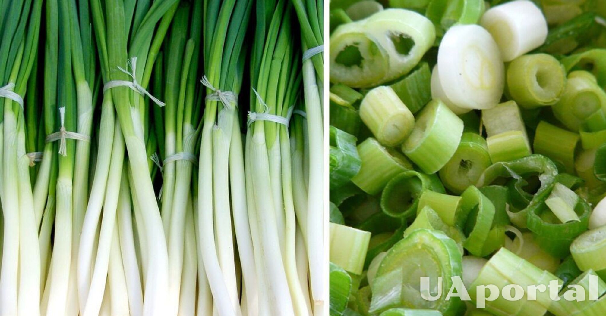 Experts explain how to freeze green onions to preserve their flavor