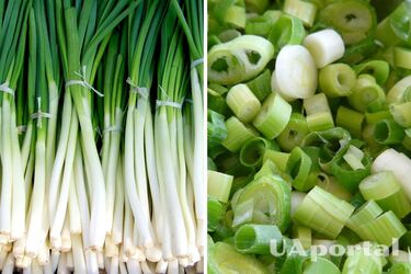 Experts explain how to freeze green onions to preserve their flavor