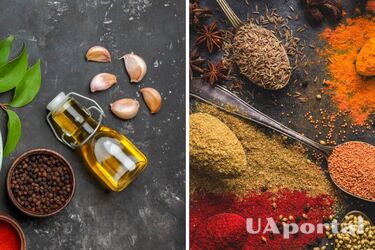 Когда добавлять специи в блюдо, чтобы не испортить его: советы для хозяек