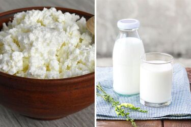 What dairy products are better to avoid
