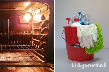 A cheap product will remove grease from the oven: Forget about aggressive chemicals