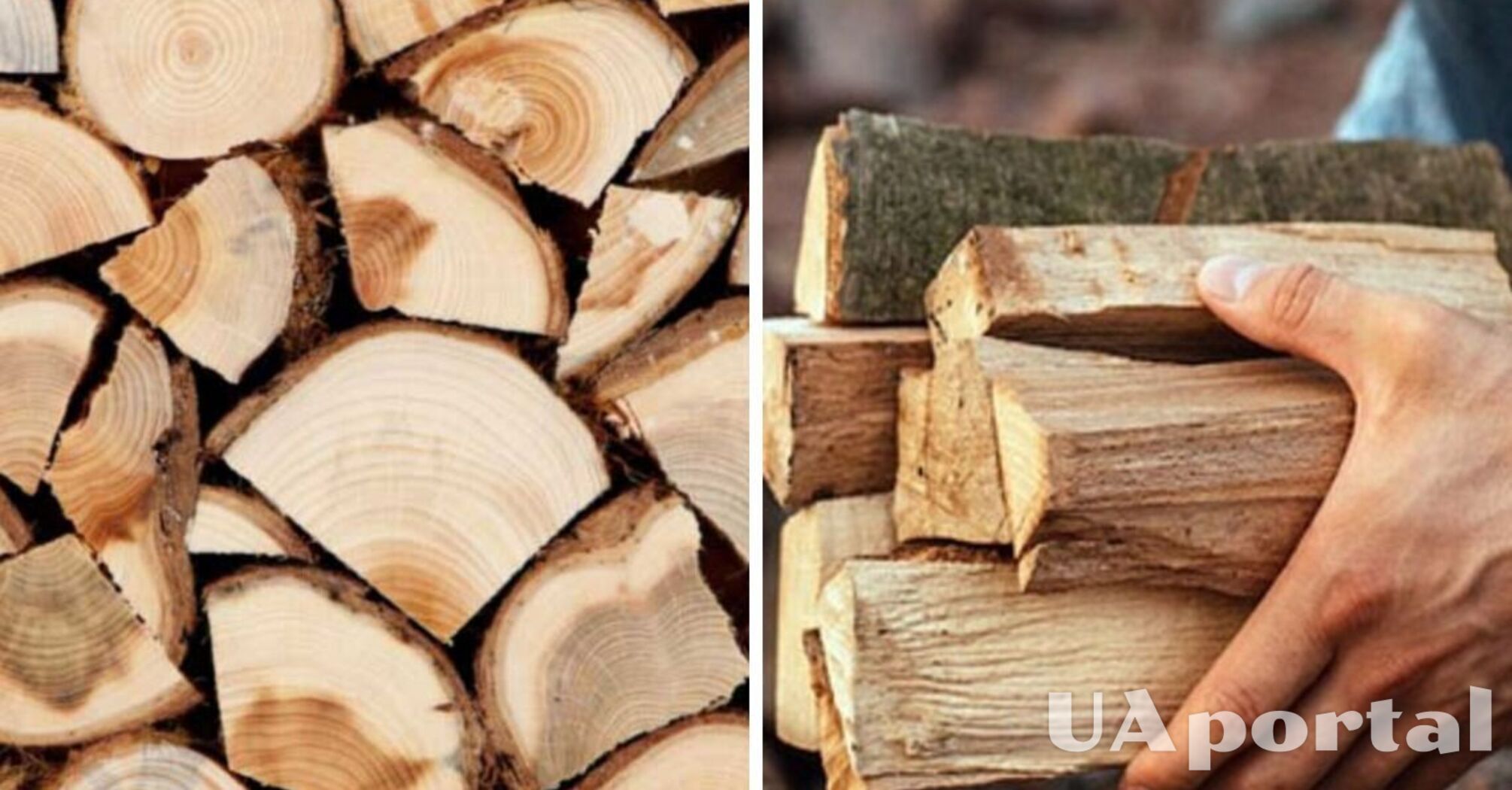 Якими дровами не можна топити піч