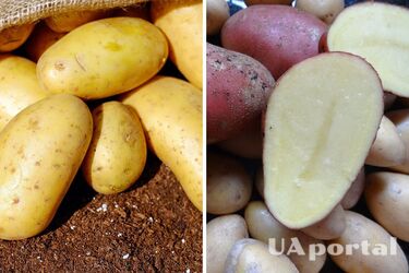 Experts explain how to store peeled potatoes without lemon juice