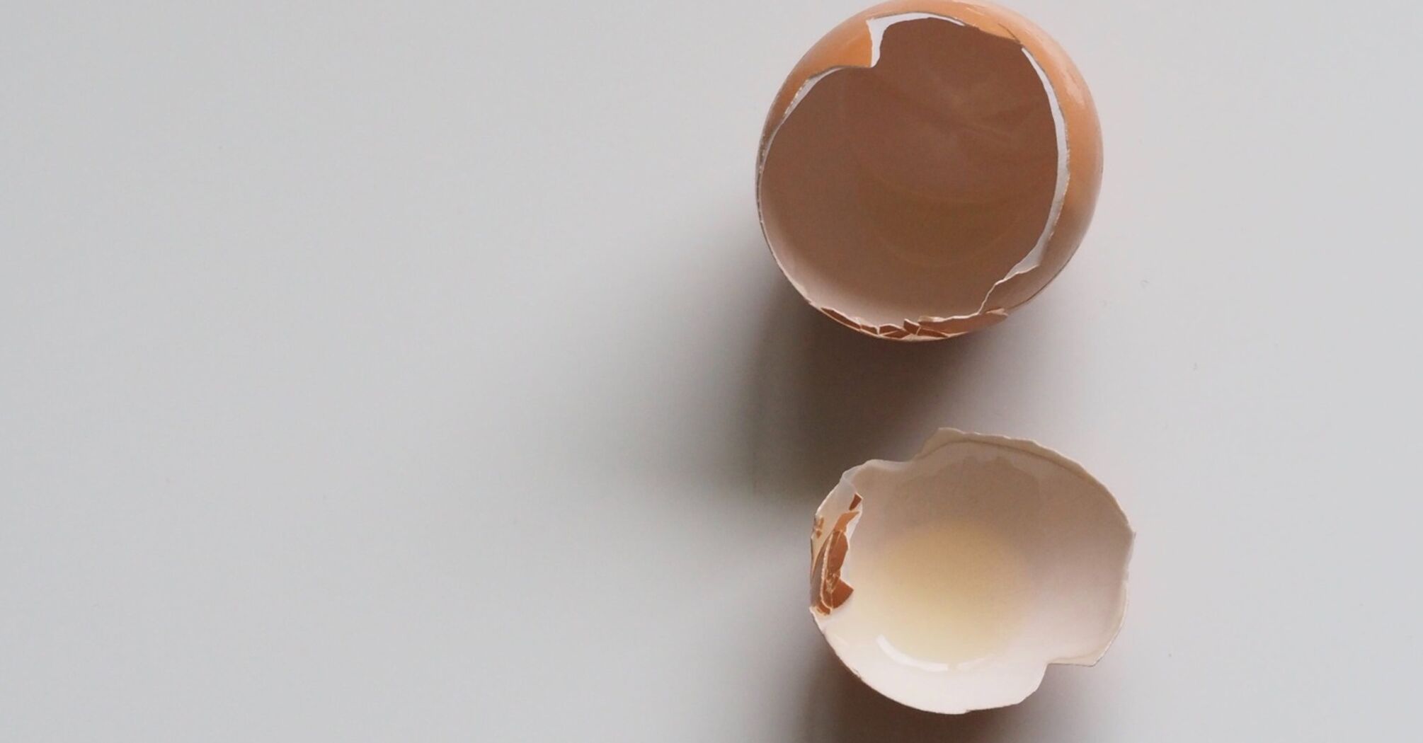 Как яйца использовать в быту: Интересные способы