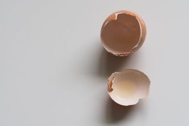 How to use eggs in everyday life: Interesting ways