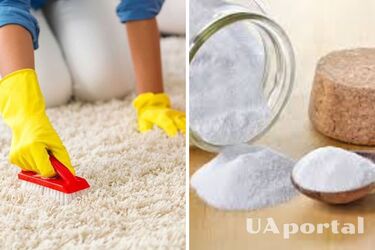 How to remove unpleasant odor from a carpet: an effective life hack