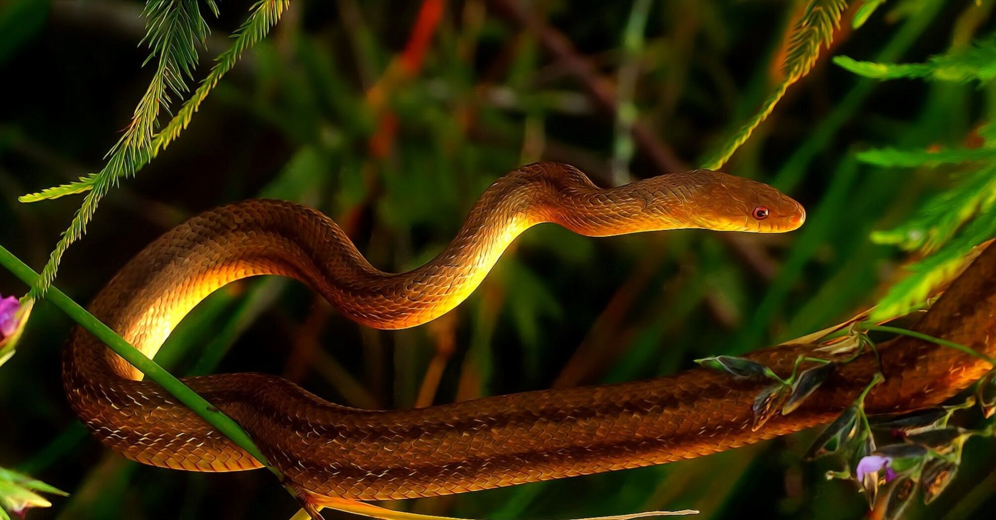 Snake venom helps: scientists have discovered an effective remedy for high blood pressure
