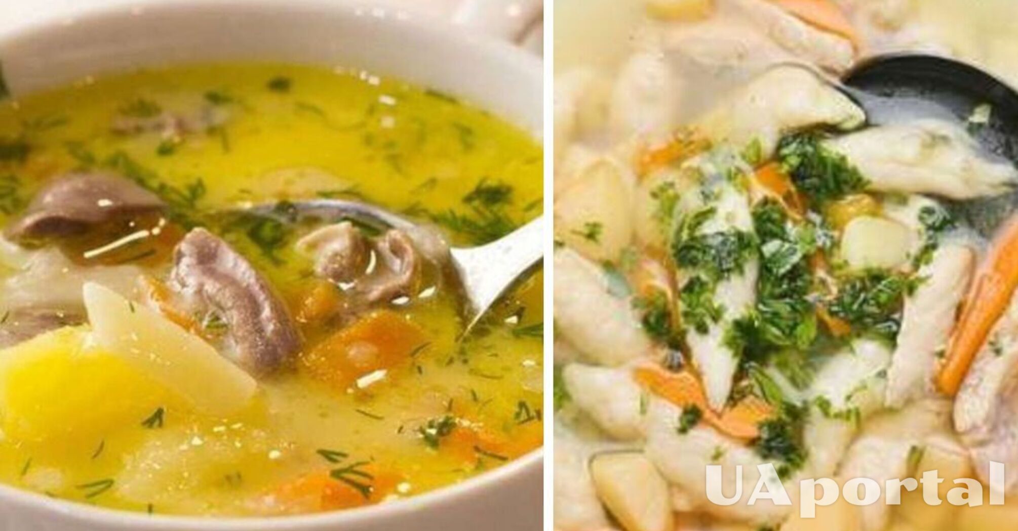 Even kids will like it: recipe for chicken soup with rice