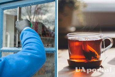 Как легко помыть окна без разводов: Неожиданный лайфхак без уксуса