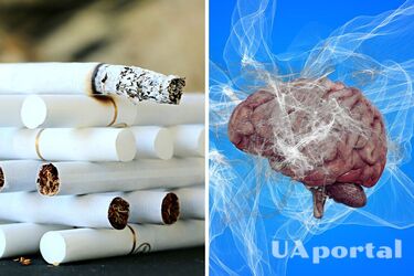Ученые обнаружили, что курение влечет за собой уменьшение мозга