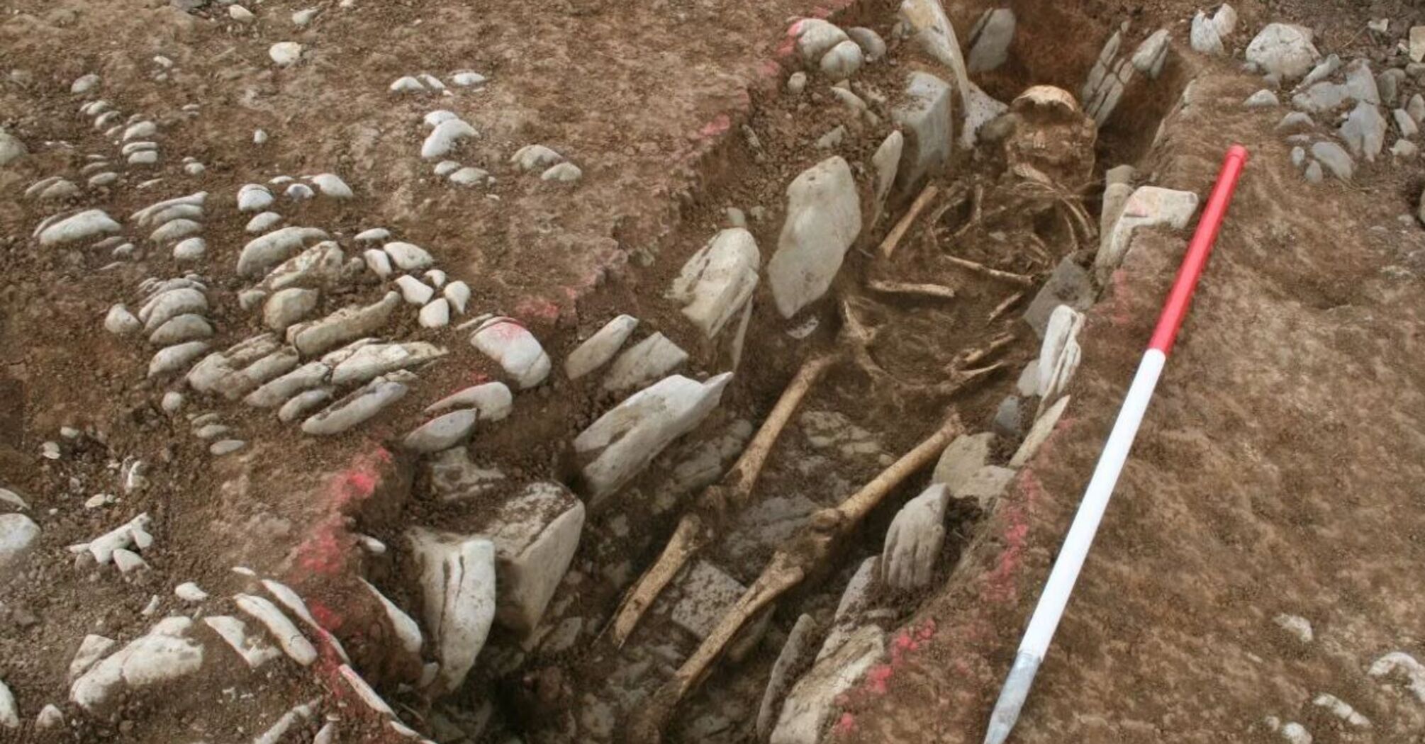 Archaeologists find evidence of feasts in medieval cemetery in England (photo)