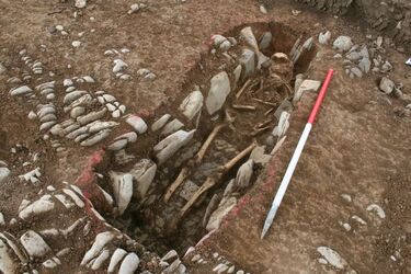 Археологи знайшли докази бенкетів на середньовічному кладовищі в Англії (фото)