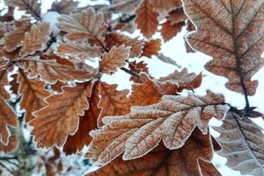 Вітер, мокрий сніг, дощ та заморозки: в Україні різко зміниться погода