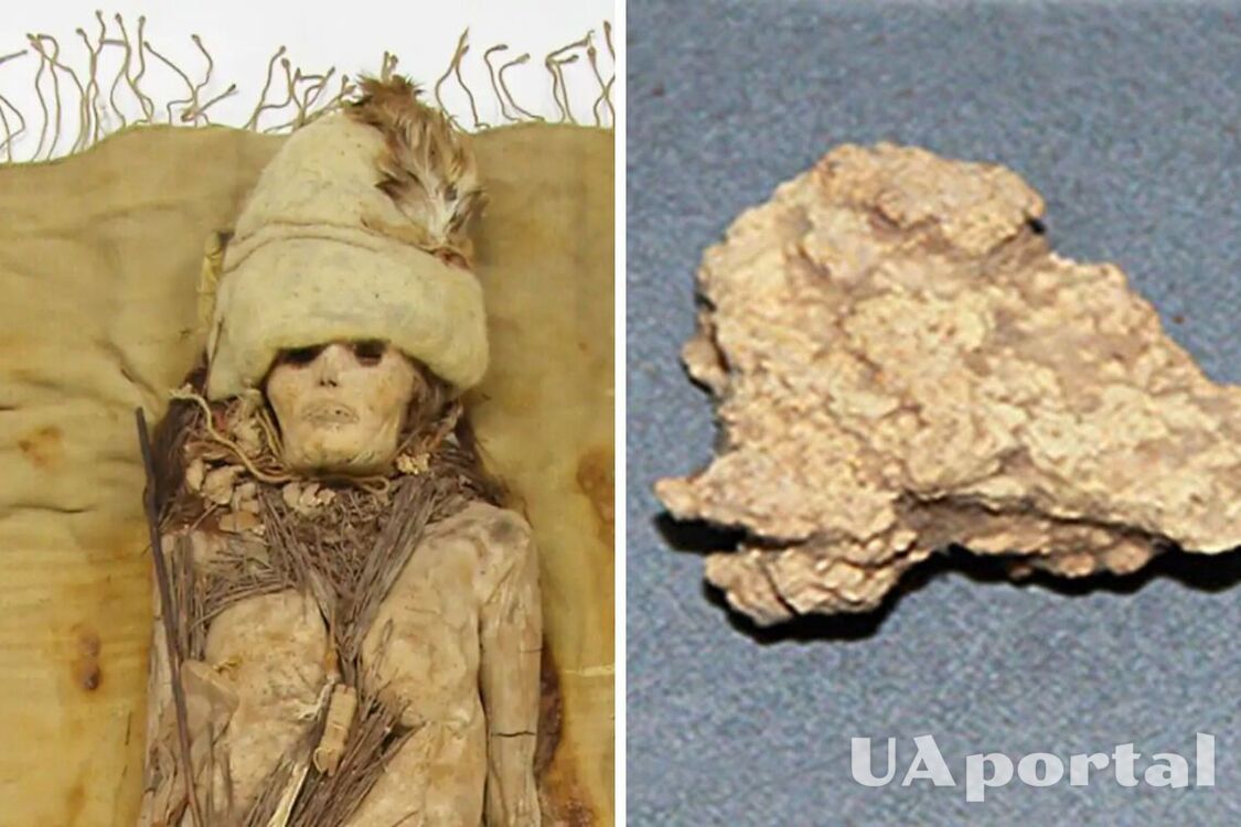 The world's oldest cheese was found in a rather unexpected place: it was decorating a mummy's neck (photo)