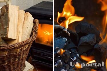 Украинцы смогут получить выплаты на твердое бытовое топливо: куда нужно обращаться