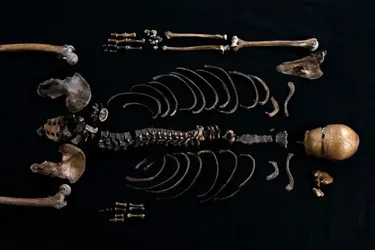 У Норвегії знайшли рештки героя відомої історичної саги віком 800 років
