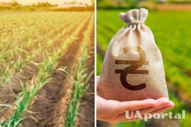 Земельний податок-2024: хто повинен сплатити у листопаді