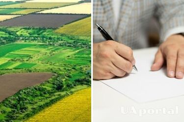 Як учаснику бойових дій отримати земельну ділянку від держави