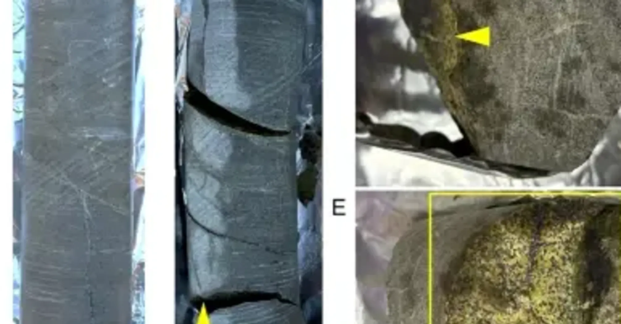 A 2 billion-year-old stone containing the oldest samples of living microbes has been discovered in Africa (photo)